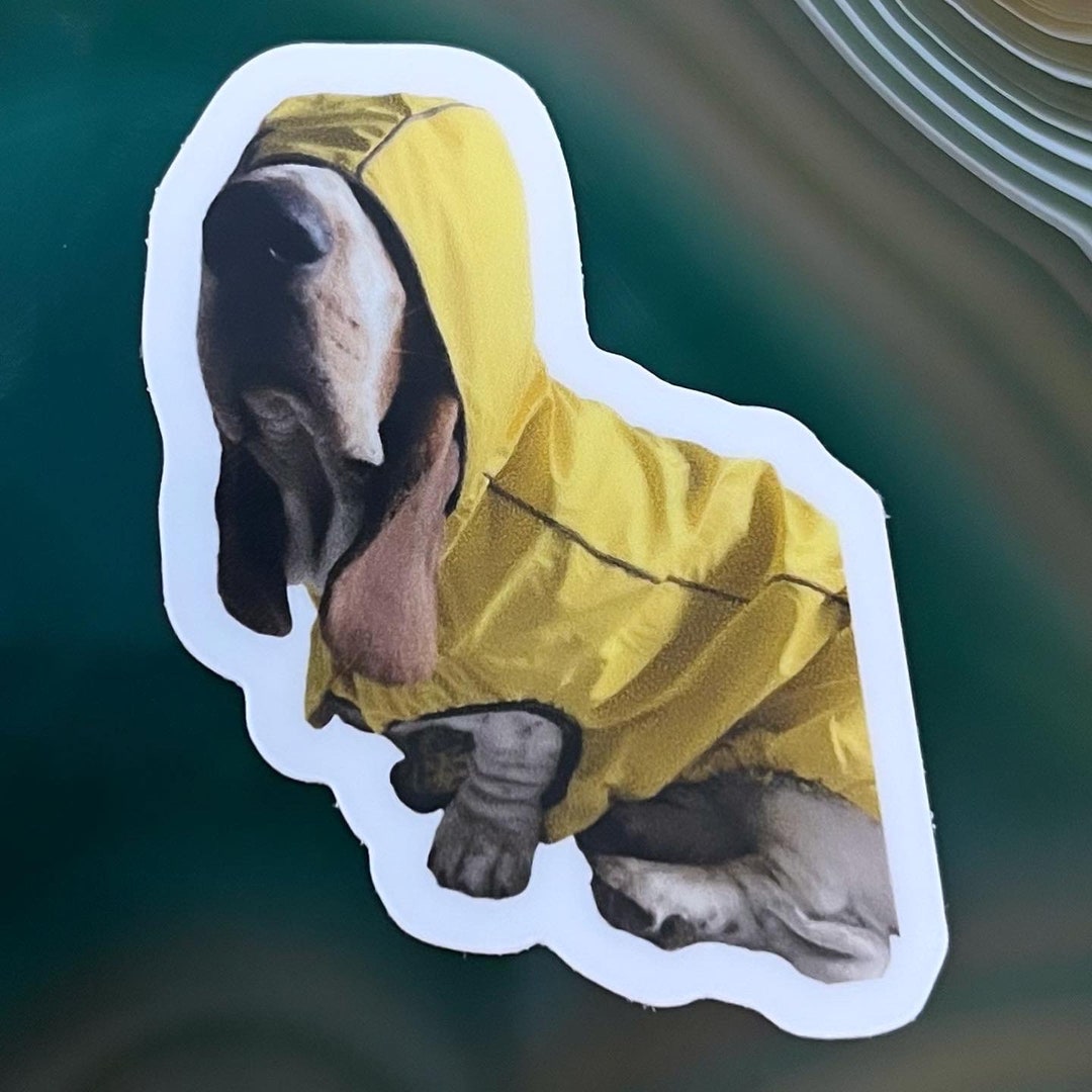 Basset Hound Die Cut Sticker - Etsy