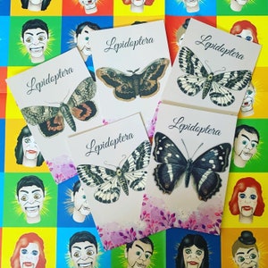 Carte postale avec papillon de nuit