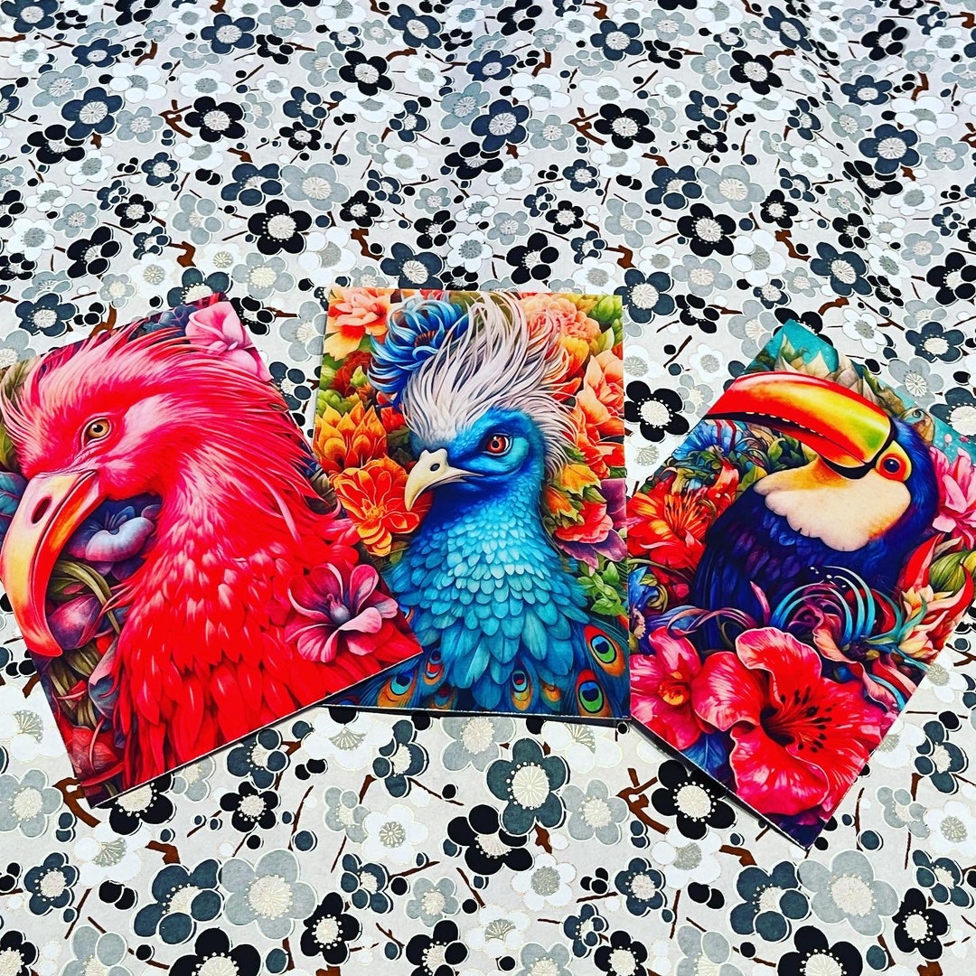 Tropical Rainforest Postcard Set Etsy