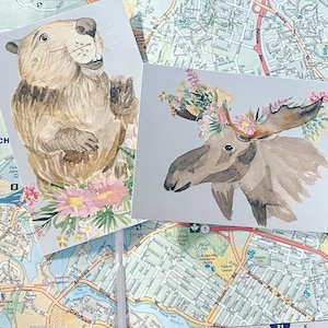 Ensemble de cartes postales sur la vie sauvage