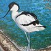 see more listings in the Tableaux section