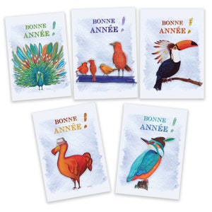 Carte de voeux oiseaux 5 modèles différents