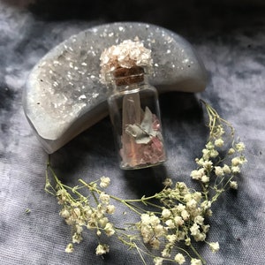 Rose quartz and Sage Crystal Cluster Spell Bottle