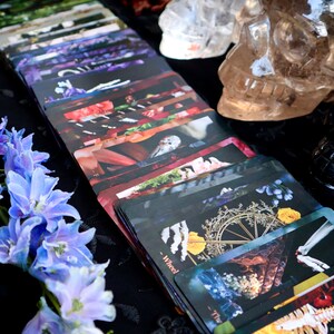 Op de afbeelding: Een tarotkaartspel met bloemen en gotische afbeeldingen. De kaarten zijn in een waaier gerangschikt en tonen verschillende illustraties met een donkere esthetiek. De achtergrond omvat blauwe bloemen en kristallen schedels.