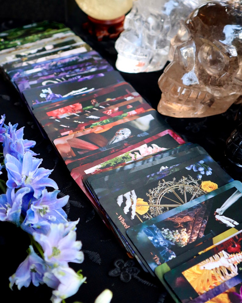 Op de afbeelding: Een tarotkaartspel met bloemen en gotische afbeeldingen. De kaarten zijn in een waaier gerangschikt en tonen verschillende illustraties met een donkere esthetiek. De achtergrond omvat blauwe bloemen en kristallen schedels.
