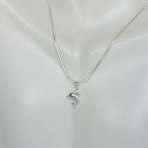 Puede incluir: Un collar de cadena de plata con un colgante de delfín de plata.