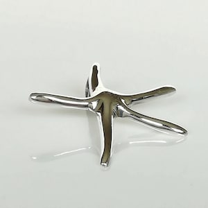 May include: A silver starfish pendant charm. The starfish is detailed and has a smooth, polished finish.