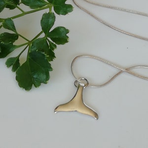 Walvisstaart zilveren hanger -Sterling zilveren walvisstaart charme - Eigenzinnige hanger - Unisex zilveren bedel - PD480