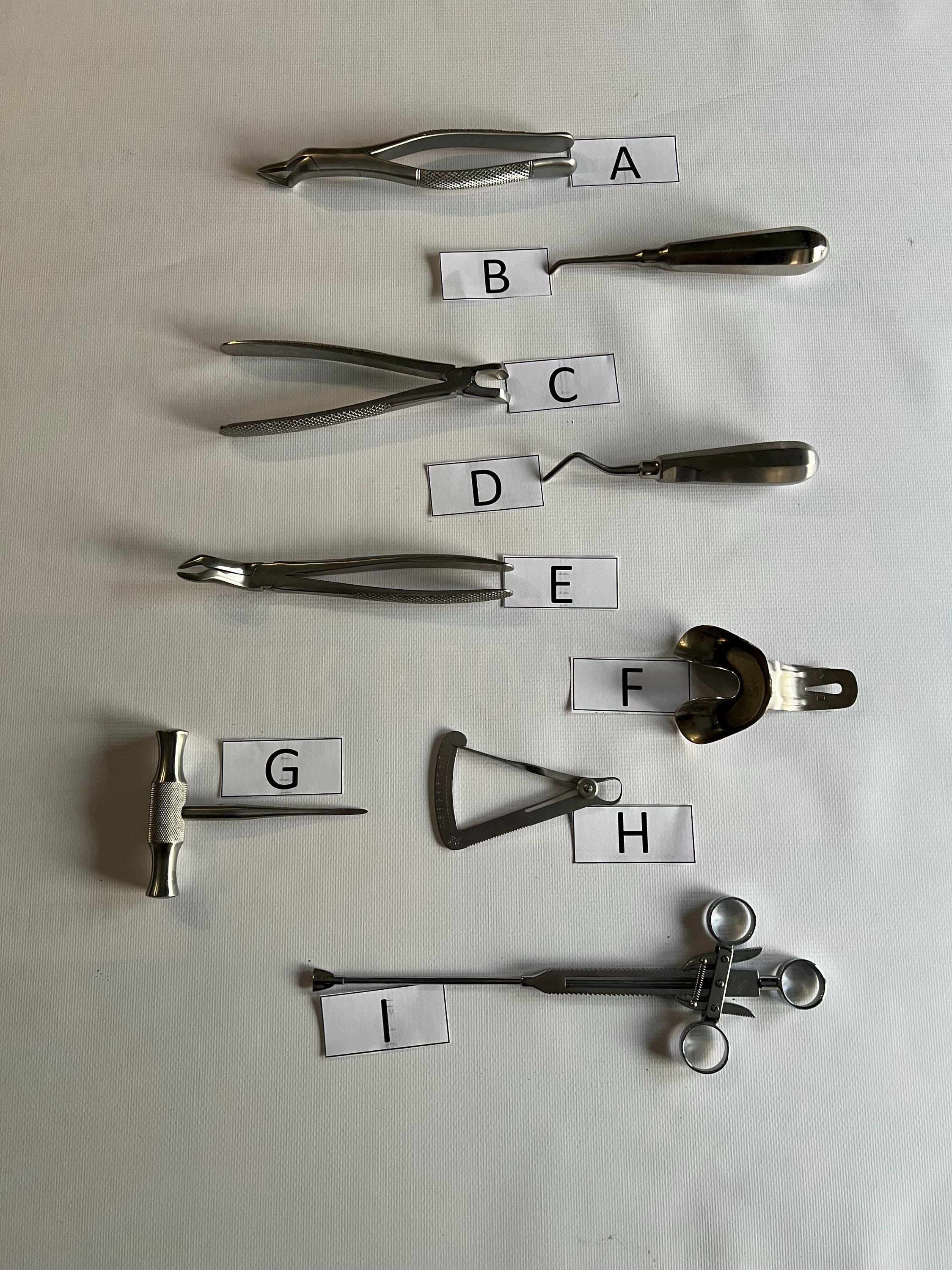 Vintage dental tools - Etsy 日本