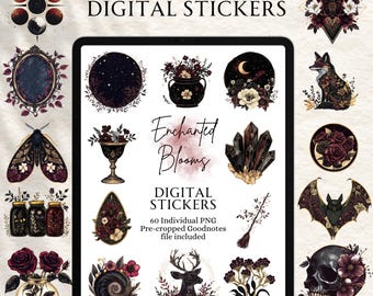 Celestial Stickers | Boho Stickers | Digital planning | Planner Stickers | Precropped Goodnotes | Enchanted Blooms Stickers