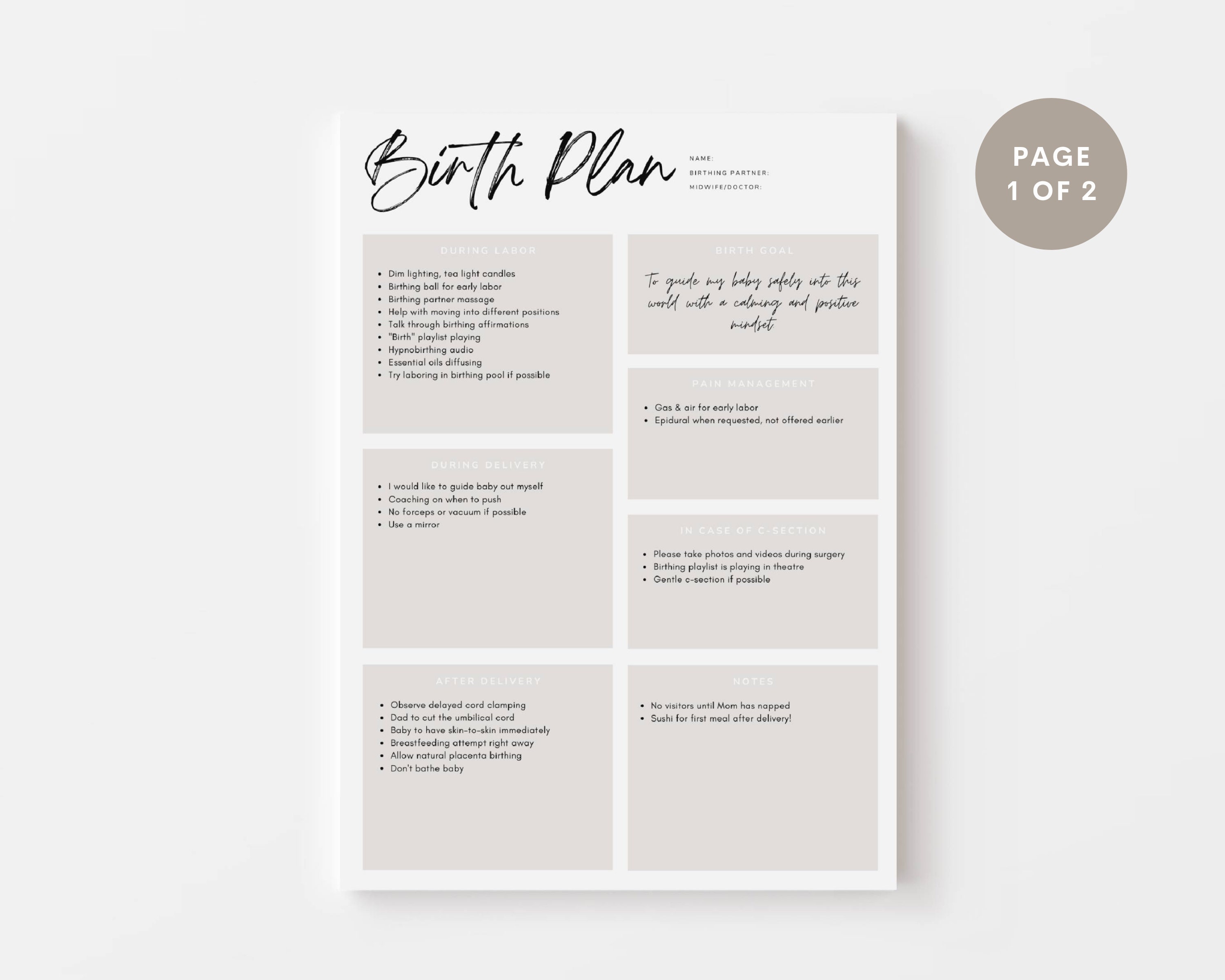 Editable Birth Plan Template Canva Template Simple Printable Etsy