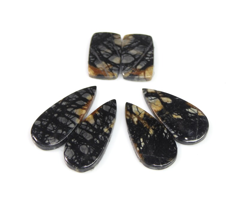 May include: Five natural stone cabochons in a teardrop and rectangular shape. The stones are black with brown and white veins.