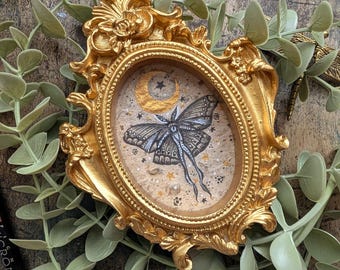 Framed Luna Moth Painting: Vintage Style Oddities Decor, whimsical wall decor