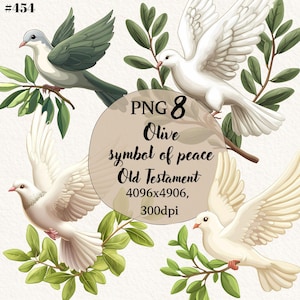 May include: Digital illustration of doves with olive branches. The image includes text that reads "PNG 8 Olive symbol of peace Old Testament". The doves are white and gray, and the olive branches are green.