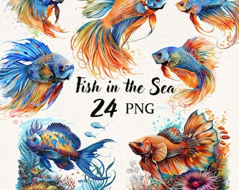 Fisch-Ozean-Clipart-Bundle, Meerestiere, Meereswelt-Clipart, transparenter Hintergrund, digitale Clipart, sofortiger Download, kommerzielle Nutzung