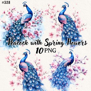 10 paon avec fleurs printanières png, Clipart paon, fond Transparent, Clipart numérique, téléchargement immédiat, usage commercial
