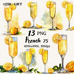 French 75 Drink Clipart Bundle, Cocktail Menu, Bar Clipart, Transparent Background, Digital Clipart, Instant Download, Commercial Use,