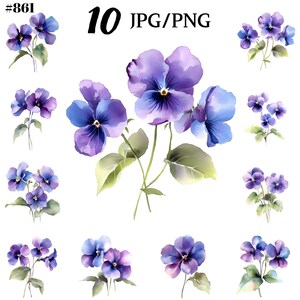 Clipart de acuarela violeta, cumpleaños de febrero, paquete de imágenes prediseñadas digitales instantáneas.