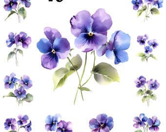 Watercolor  Violet Clipart, February Birthday, Instant Digital Clipart Bundle.