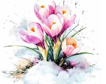 Springtime Crocus Flower Images Bundle for Sublimation and More.