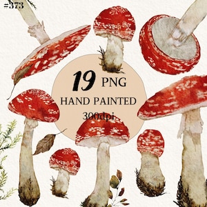 Bundle de clipart champignons peints à la main, champignon vénéneux PNG, fond Transparent, clipart numérique, téléchargement immédiat, usage commercial