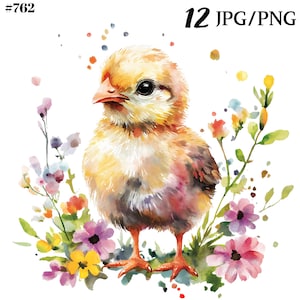 Easter Clipart, Spring Clipart, Chicken Watercolor Clipart Bundle - Digital Download.
