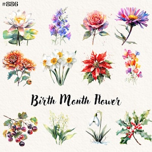 Birth Month Flower Clipart for Festive DIY Fun.