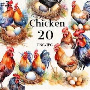 Watercolor Rooster Clipart, Chicken png, Watercolor Chicken Clipart, Scrapbooking Digital Paper Chickens, Commercial Use, Digital Download