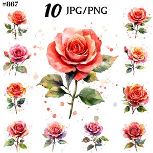 Clipart de rosas em aquarela, coleção de flores em aquarela - Download instantâneo para uso comercial