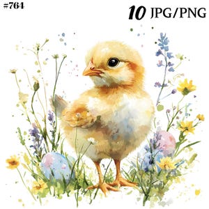 Watercolor Chicken Shirt png, Easter Clipart, Whimsical Easter Chicken Watercolor Clipart Bundle - Digital Download
