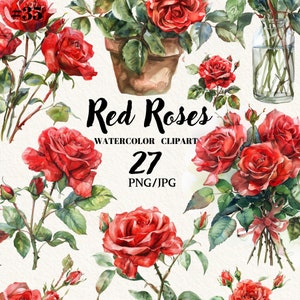 Clipart de flor rosas vermelhas PNG, flores em aquarela, clipart de rosas, convite de casamento, clipart digital, download instantâneo, uso comercial