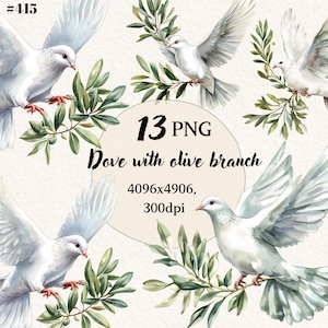 Colomba con brunch di olive, Clipart acquerello, Colomba bianca, Clipart acquerello della prima comunione, Clipart cristiana, Download immediato, Commerciale