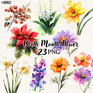 Lot de fleurs pour le mois de naissance pour des projets de bricolage créatifs
