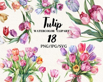 Flores de tulipán, flores de acuarela, png floral, imágenes prediseñadas de primavera, png de flores, ramo de tulipanes, imágenes prediseñadas digitales, descarga instantánea, comercial