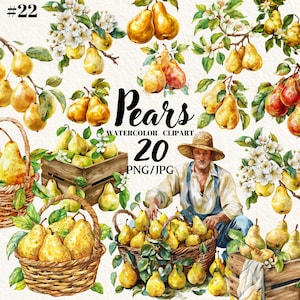 Pear Clipart png Botanical, Watercolor Clipart Pear, Food Clipart, Summer Clipart, Digital Clipart, Instant download, Commercial use