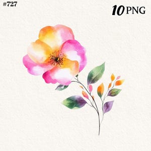 Acuarela floral PNG, flores de acuarela, perfecta para diseños digitales.