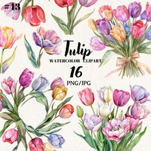 Watercolor Flowers Spring Tulips, Tulip Flowers,  Watercolor Tulips, Tulips Illustration, Digital Clipart, Instant download, Commercial use