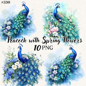 10 Peacock Clipart, Peacock png, Spring Flowers, Transparent Background, Digital Clipart, Instant Download, Commercial Use