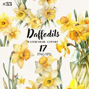 Aquarelle fleurs jonquille Pâques Clipart, Clipart Bundle jonquille, clipart printemps, fleurs de jardin, Clipart floral, usage Commercial