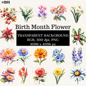 Lot de fleurs pour le mois de naissance pour des projets de bricolage créatifs