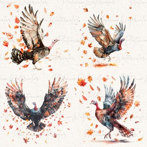 Thanksgiving Png, Sublimation Png, Turkey Png, Transparent Background ...