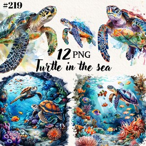 Under The Sea, sea turtle clipart bundle, turtle in the sea png, ocean background, transparent background, instant download, commercial use