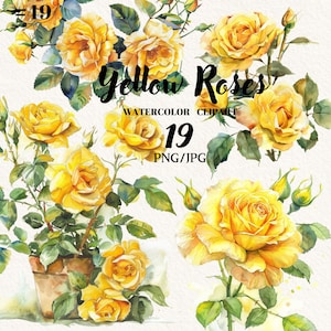 Gelbe Rosen Clipart Aquarell PNG, Blush Blumen Clipart, Blumenkranz Clipart, digitale Clipart, sofortiger Download, kommerzielle Nutzung