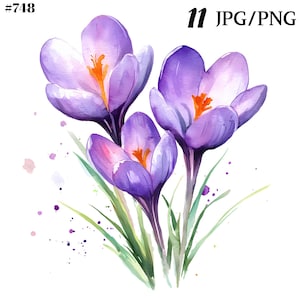 Bundle de cliparts printemps, crocus, Pâques, fleurs - parfait pour les projets de bricolage et une utilisation commerciale.