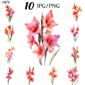 Watercolor Gladiolus Clipart, Watercolor Flowers Clipart  - Instant Download for Commercial Use