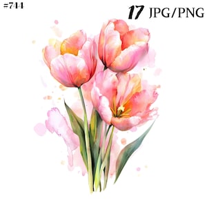 Frühling png, Blumen Clipart, rosa Tulpe Clipart Bundle - Perfekt für DIY-Projekte und den kommerziellen Gebrauch.