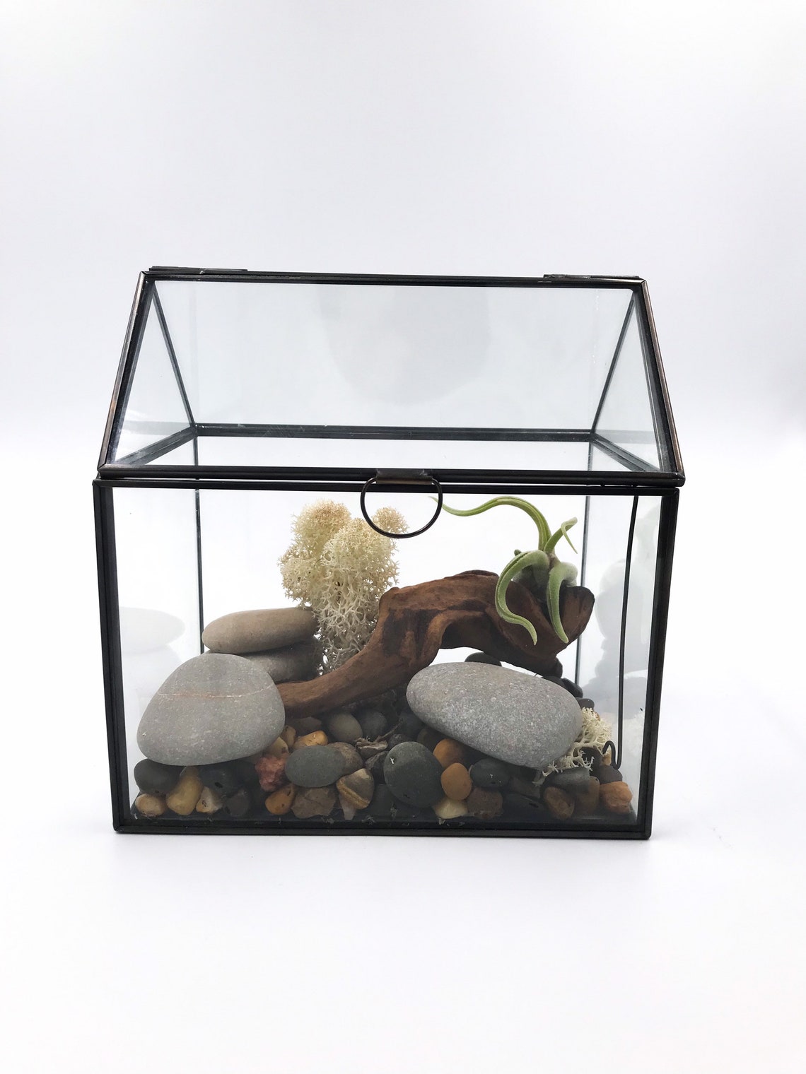 Glass House Terrarium Etsy