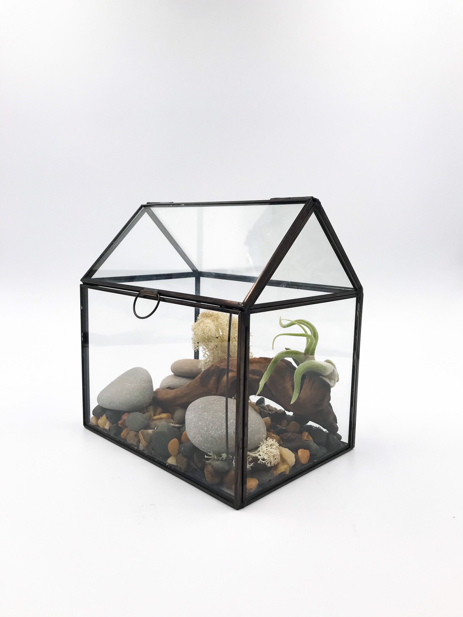 Glass House Terrarium Etsy