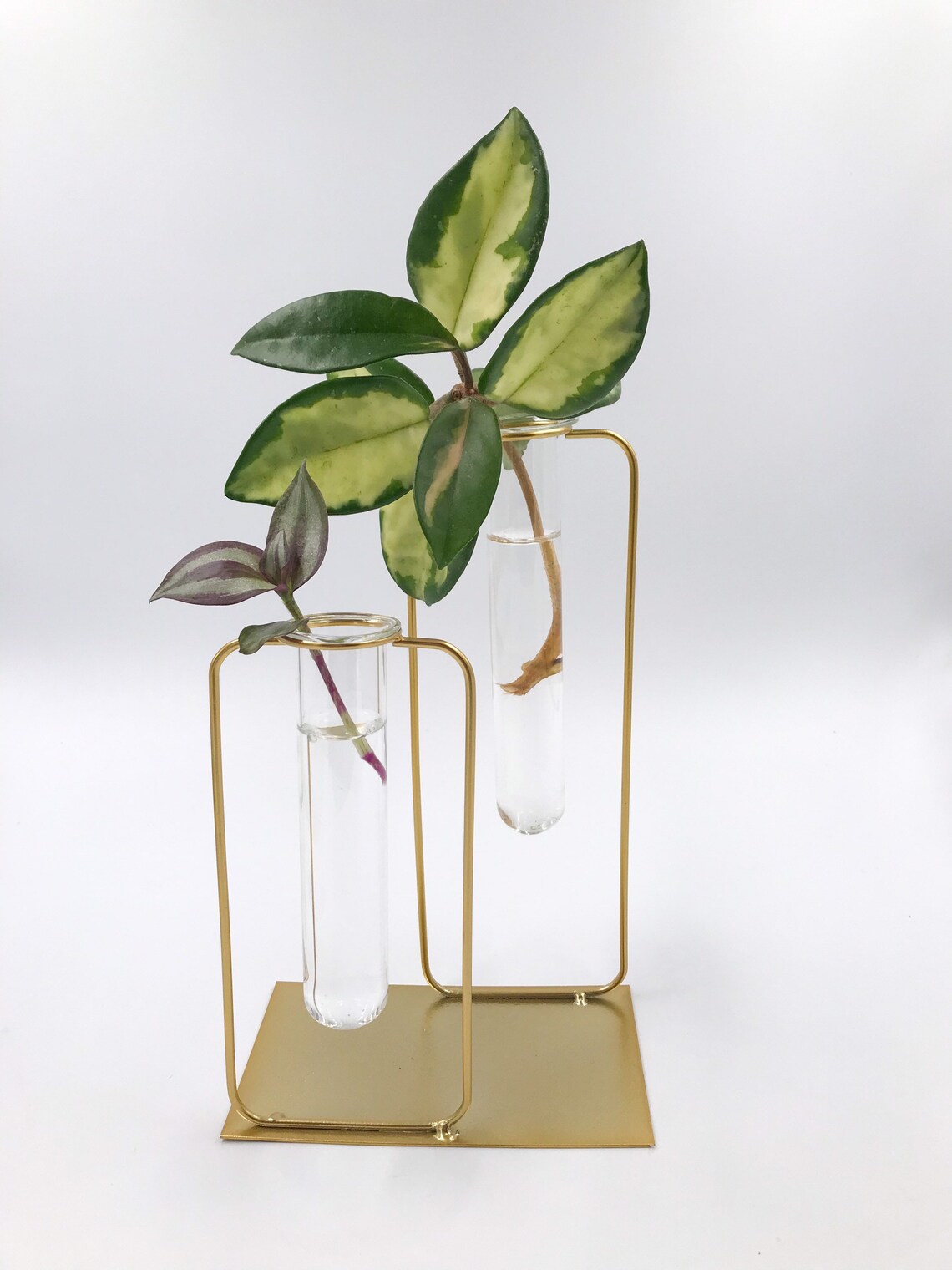Gold propagation vase hanging hydroponic test tubes vase Etsy