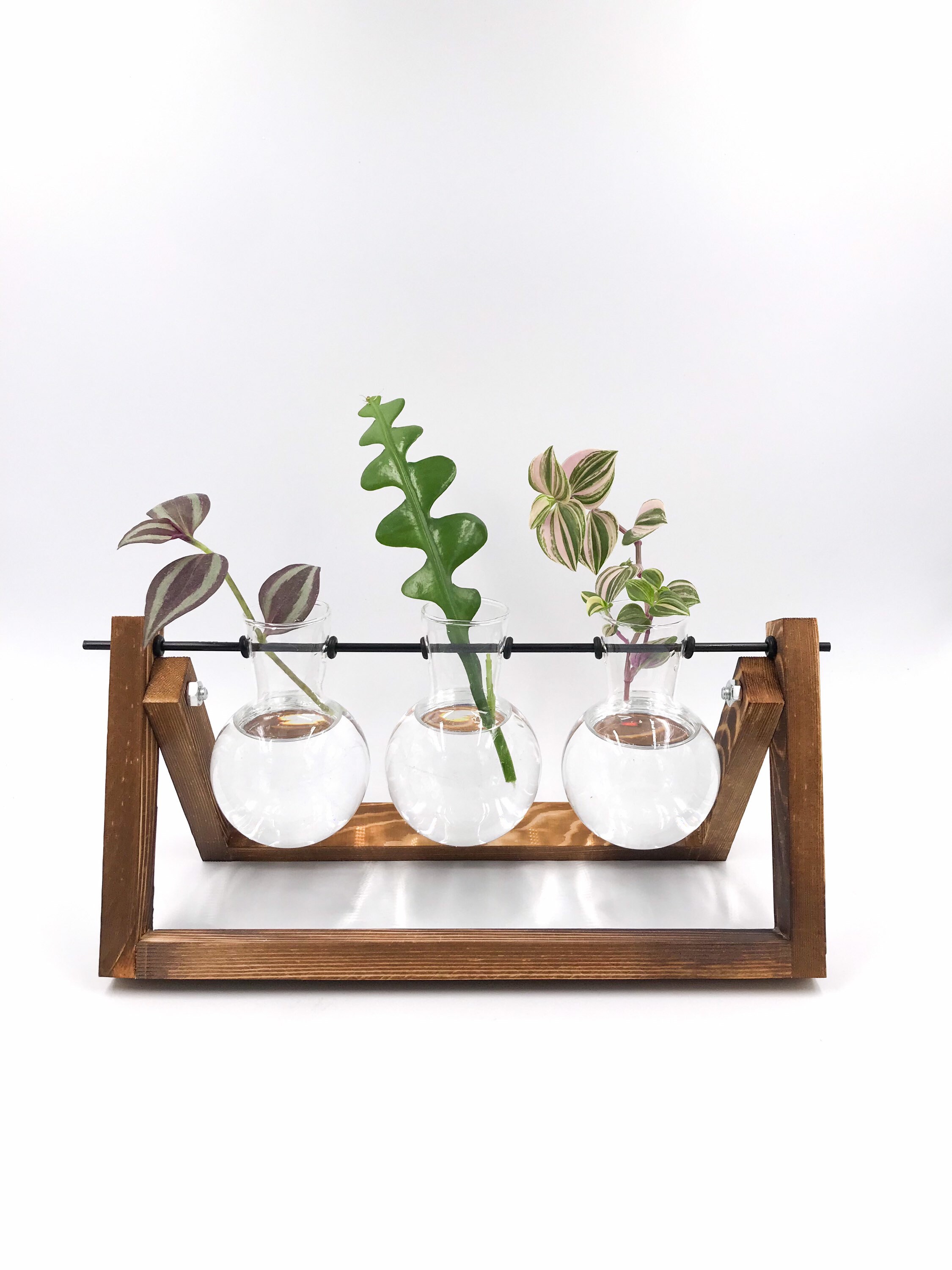 Propagation station hydroponic vase Etsy